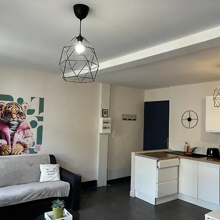 公寓 Spacieux, Climatise, Quartier Calme, Proche Chateau, Le Cocon De Joy *