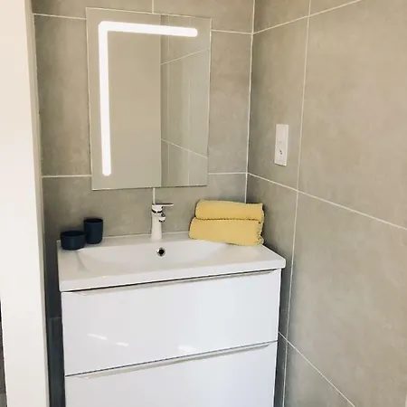 Spacieux, Climatise, Quartier Calme, Proche Chateau, Le Cocon De Joy 公寓 卡尔卡松