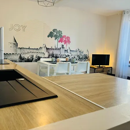Spacieux, Climatise, Quartier Calme, Proche Chateau, Le Cocon De Joy Appartement Carcassonne